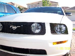 front grill.jpg